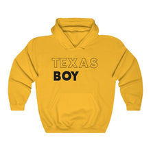 Load image into Gallery viewer, Texas Boy Black Hooded Sweatshirt